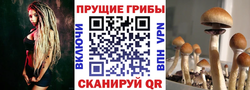 мега сайт  закладки  Тырныауз  Галлюциногенные грибы мицелий 